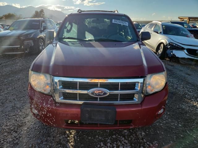2010 Ford Escape XLT