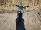 2021 Ducati Scrambler Desert Sled