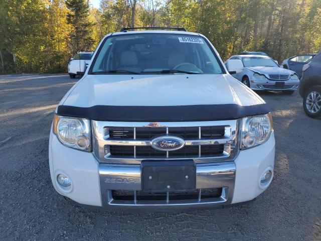 2008 Ford Escape Limited