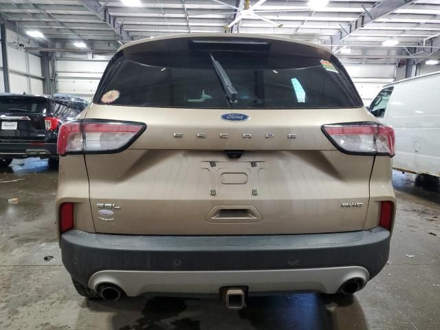2021 Ford Escape SEL