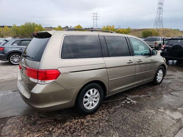 2008 Honda Odyssey EXL