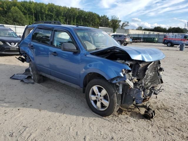 2009 Ford Escape XLT