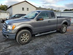 Ford salvage cars for sale: 2014 Ford F150 Super Cab