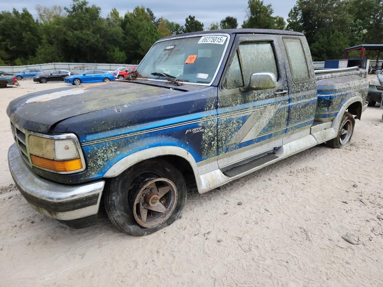 1995 Ford F150