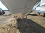 2019 Panga Marine 2019 Other Boat 22 Panga Marine-Boat