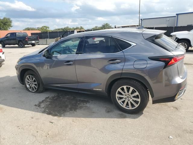 2020 Lexus NX 300H