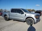 2024 Ford F150 xlt