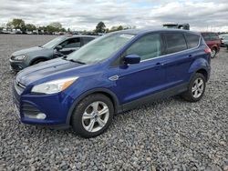 2014 Ford Escape SE for sale in Cicero, IN