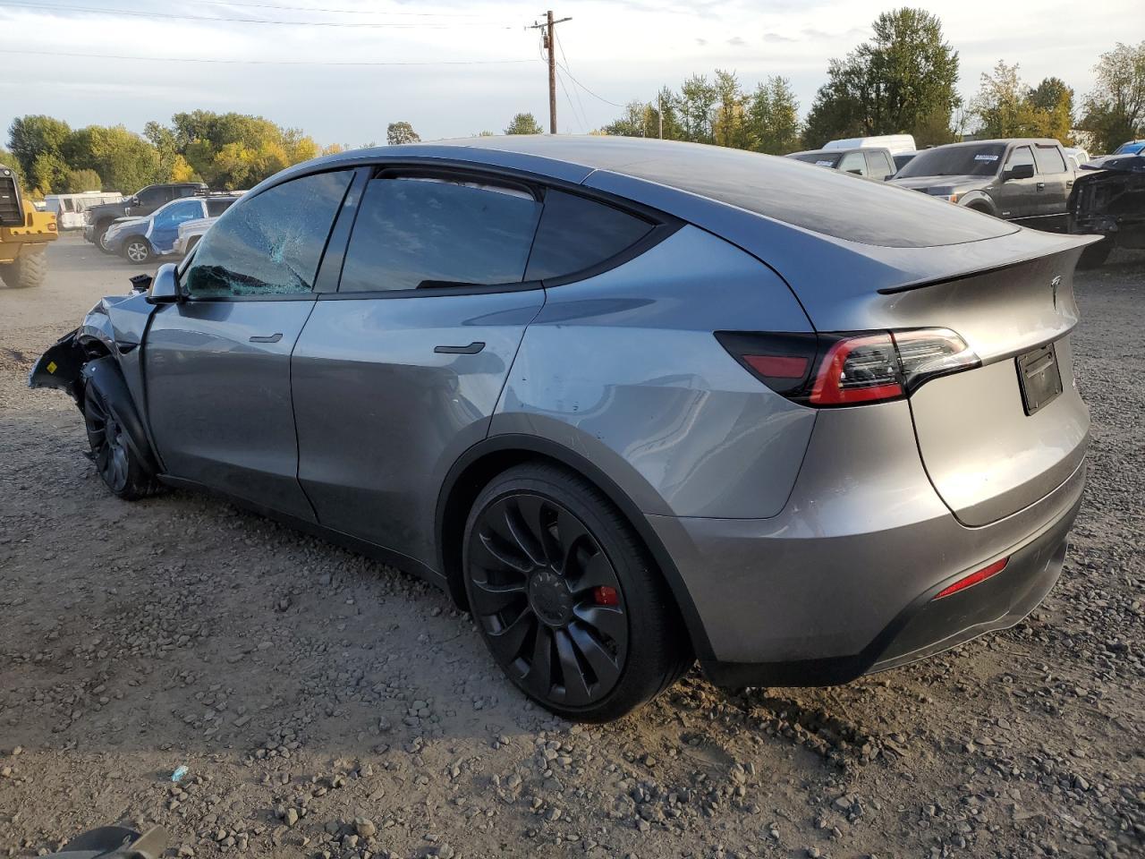 2025 Tesla Model y