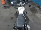 2019 Triumph 2019 Triumph Street Scrambler