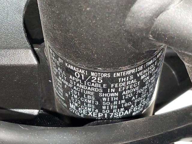 2025 Kawasaki EX650 P