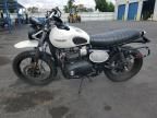 2019 Triumph 2019 Triumph Street Scrambler