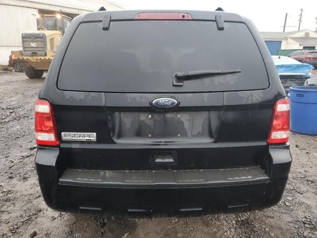 2010 Ford Escape XLT