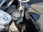 2023 Harley-Davidson Fltrt