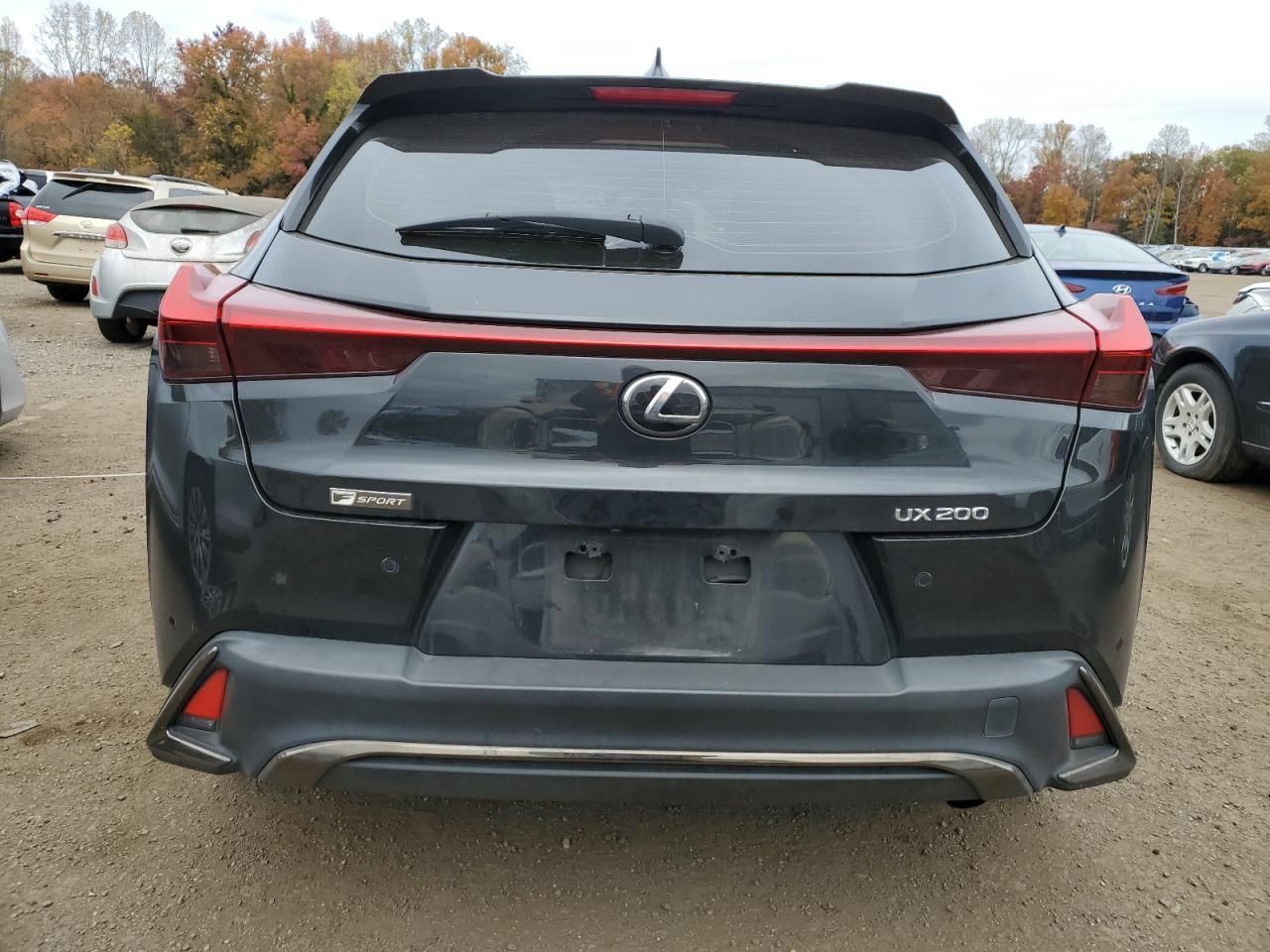 2019 Lexus Ux 200