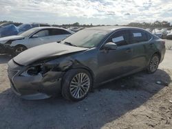 2014 Lexus ES 350 for sale in Homestead, FL