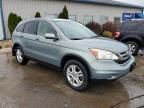 2010 Honda Cr-v exl