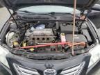 2008 Toyota Camry Hybrid