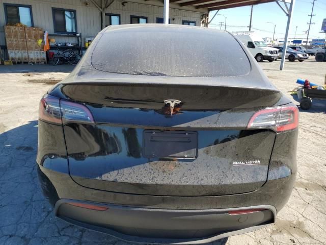2025 Tesla Model y
