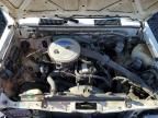 1986 Nissan D21 Short BED