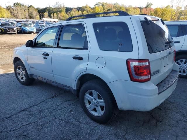 2011 Ford Escape Hybrid