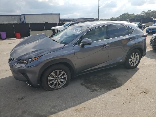 2020 Lexus NX 300H