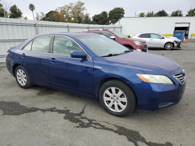 2008 Toyota Camry Hybrid