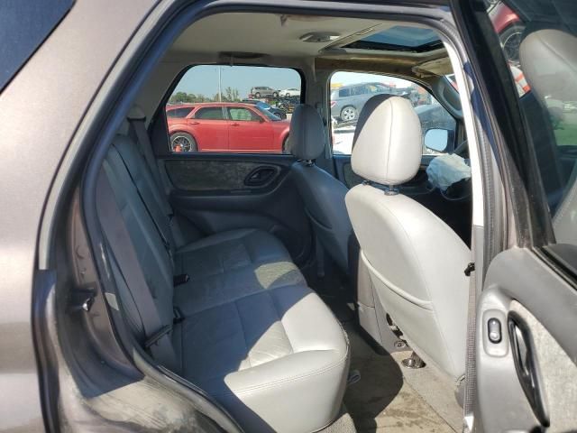 2006 Ford Escape XLT