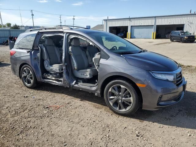 2022 Honda Odyssey Elite