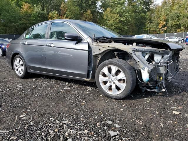 2010 Honda Accord EXL
