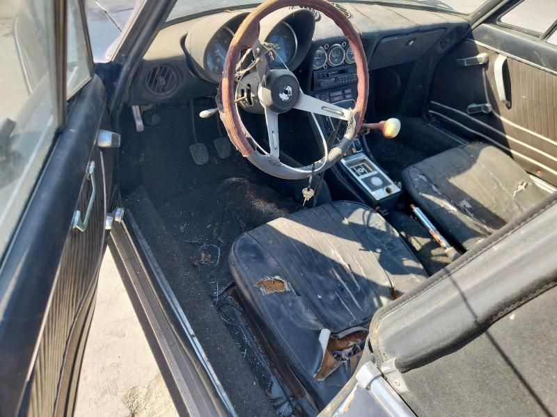 1977 Alfa Romeo Spider