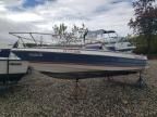 2010 Bluewater Yachts Boat