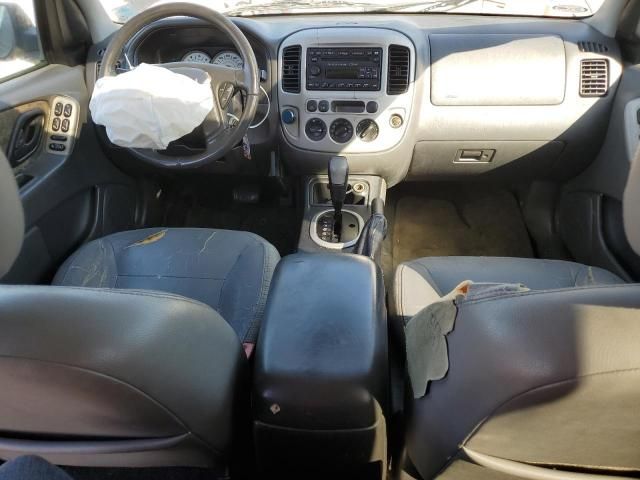 2006 Ford Escape XLT