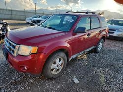 Ford Vehiculos salvage en venta: 2010 Ford Escape XLT