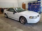 2001 Ford Mustang