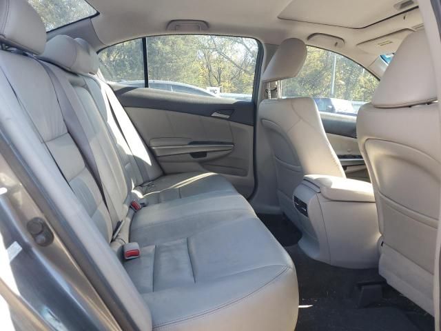 2010 Honda Accord EXL