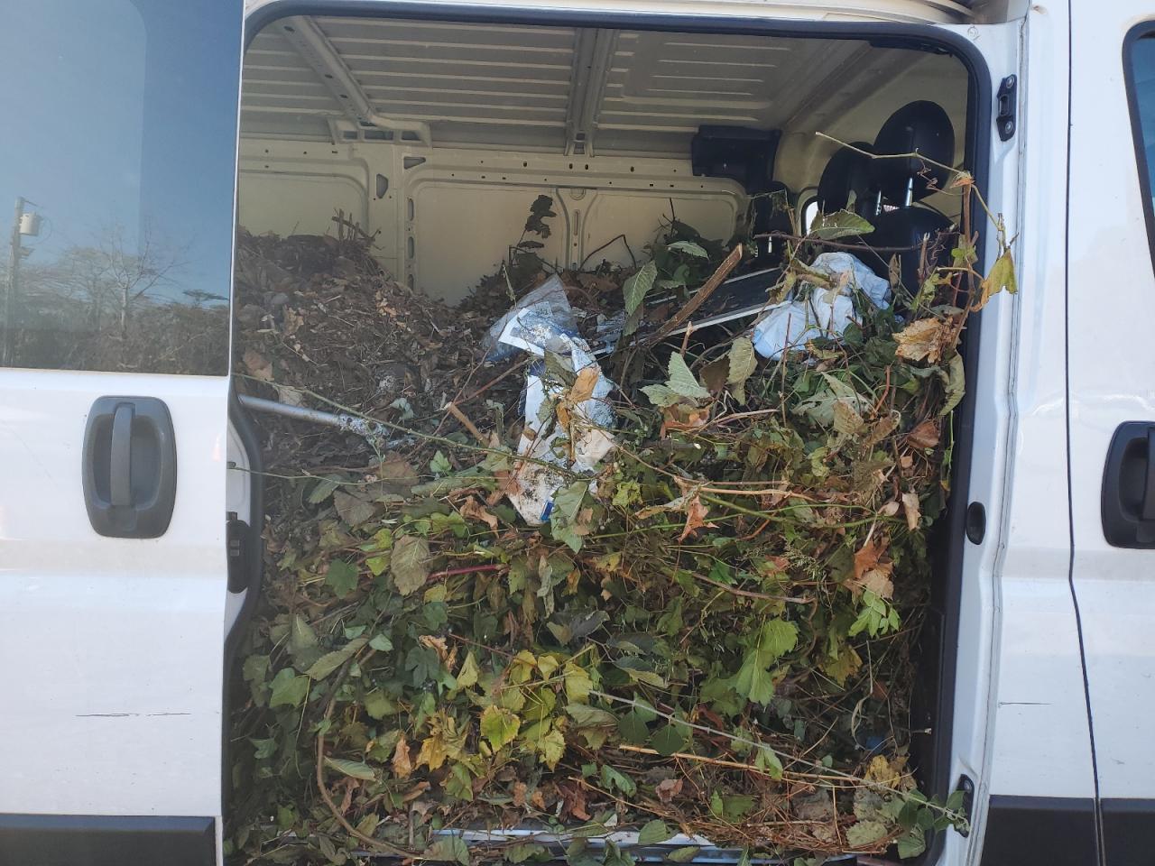 2023 Dodge RAM Promaster 1500 Delivery Van