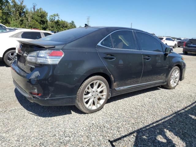 2010 Lexus HS 250H