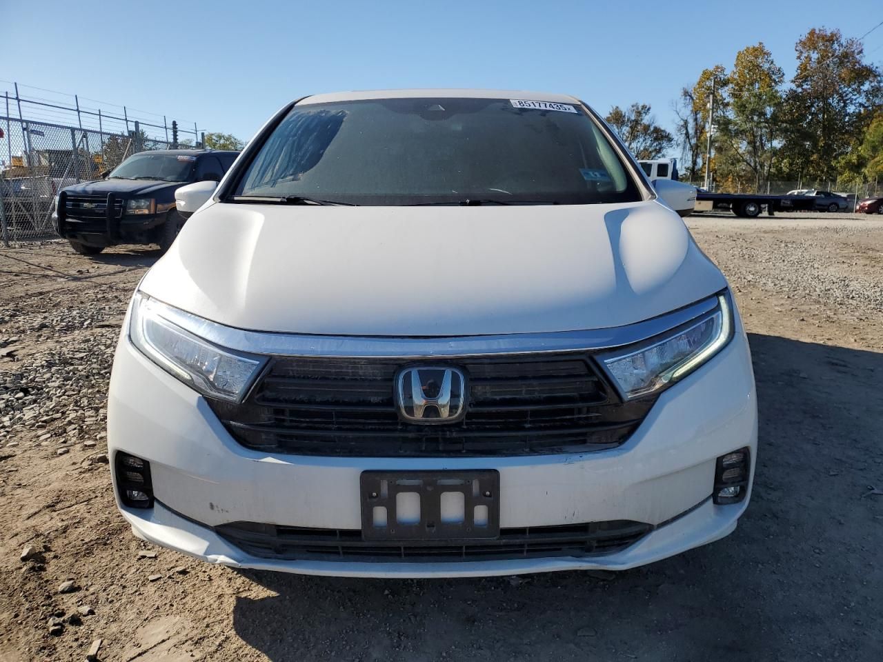 2023 Honda Odyssey exl