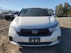 2023 Honda Odyssey exl