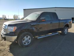 Salvage trucks for sale at Rocky View County, AB auction: 2011 Ford F150 Super Cab
