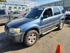 2005 Ford Escape XLT