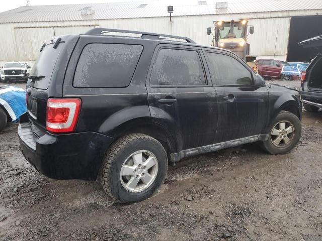 2010 Ford Escape XLT
