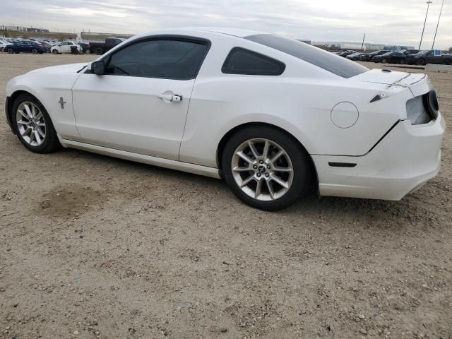 2013 Ford Mustang