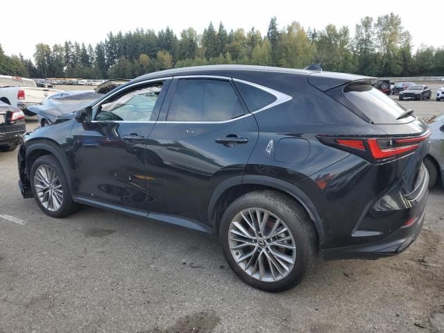 2024 Lexus NX 350H Base