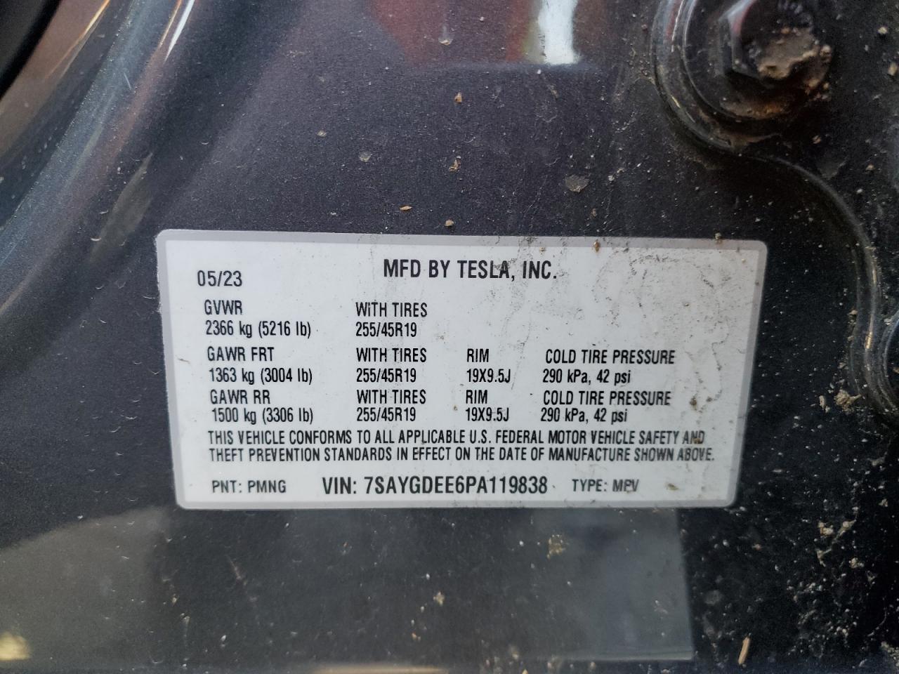 2023 Tesla Model y