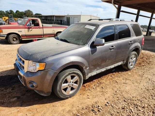 2009 Ford Escape Limited