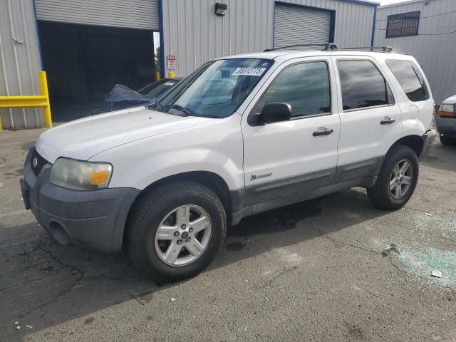 2005 Ford Escape HEV