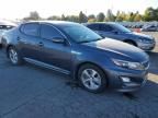 2014 KIA Optima Hybrid