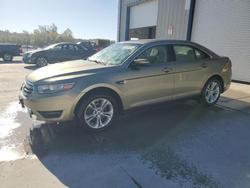 Ford Taurus salvage cars for sale: 2013 Ford Taurus sel